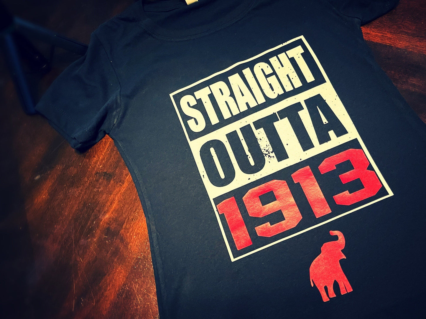 Delta Sigma Theta - Straight Outta 1913 Retro Shirt
