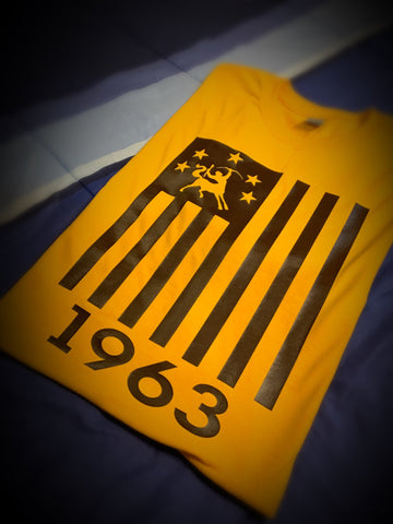Greek - IOTA T-Shirt- Flag One - 550strong